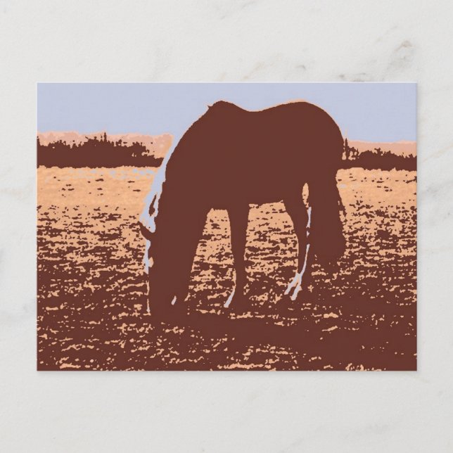 Postal Arte pop de moda de caballo (Anverso)