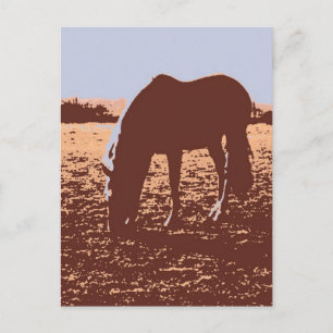 Postal Arte pop de moda de caballo