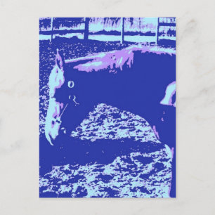 Postal Arte pop de moda de caballo