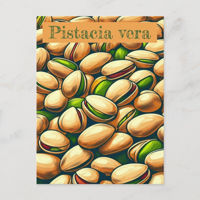 Postal Arte pop de Pistachio (Anverso)
