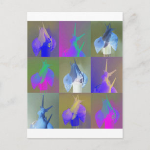 Postal Arte pop del caracol