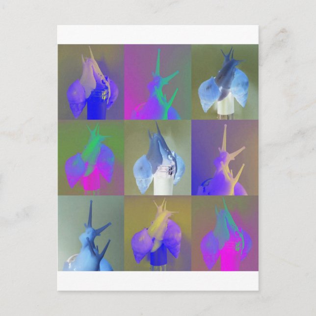 Postal Arte pop del caracol (Anverso)