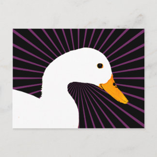 Postal Arte pop del pato blanco
