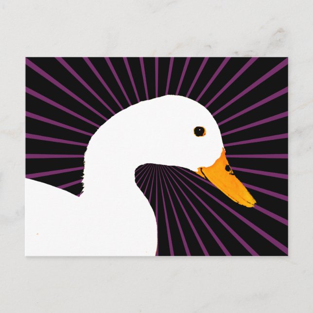 Postal Arte pop del pato blanco (Anverso)