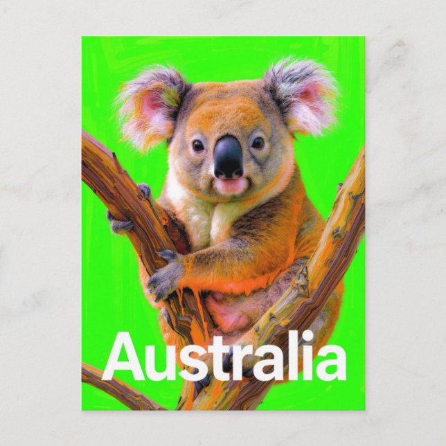 Postal Arte Pop Oso Koala de Australia (Anverso)