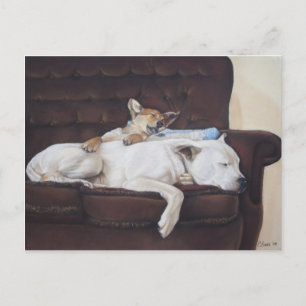 Postal arte realista del bulldog americano blanco y cacho