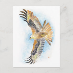 Postal Arte Red Tail Hawk