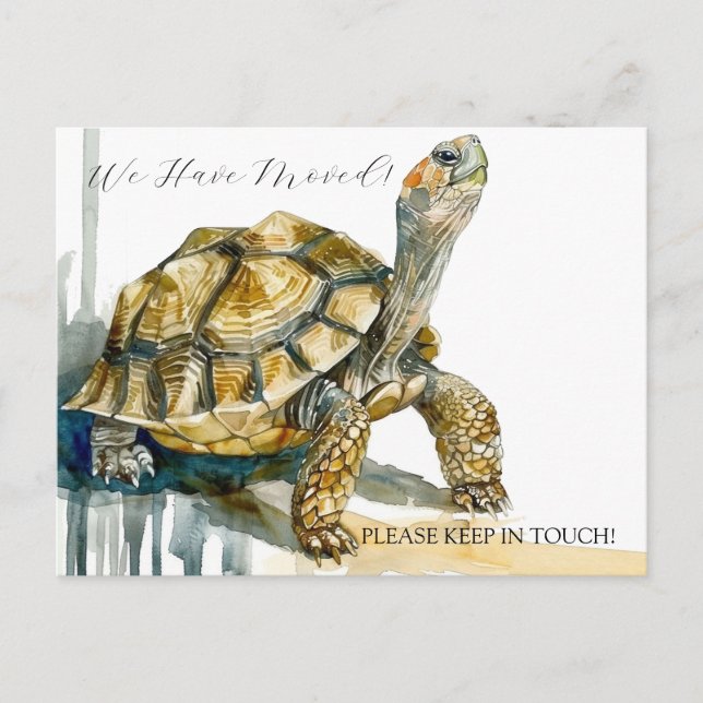 Postal Arte tortoise (Anverso)