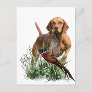 Postal Arte vascular húngaro
