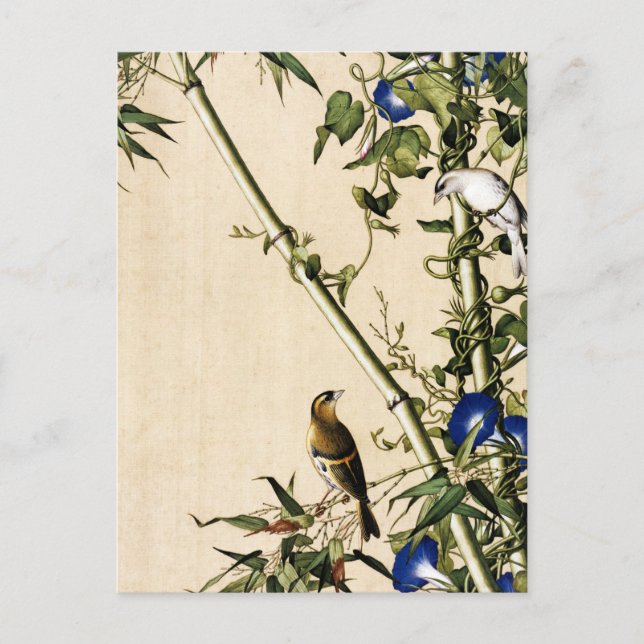 Postal Arte Vintage de Bambú y Campanilla Azul (Anverso)