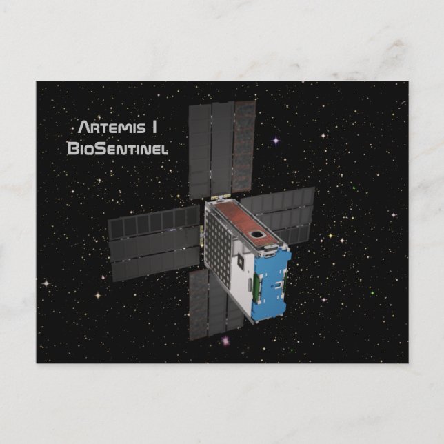Postal Artemis BioSentinel CubeSat (Anverso)