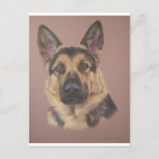 Postal Arthur - German Shepherd