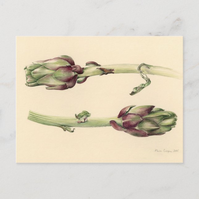Postal Artichokes 2005 (Anverso)