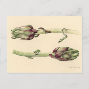 Postal Artichokes 2005