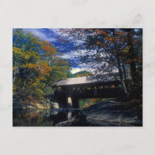 Postal Artistas del río Domingo cubrieron puente Maine