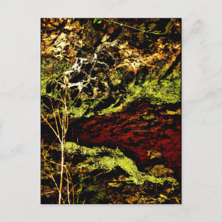 Postal artística de JTG "Algae Canal Fallon"