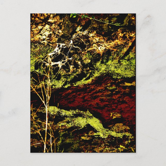 Postal artística de JTG "Algae Canal Fallon" (Anverso)