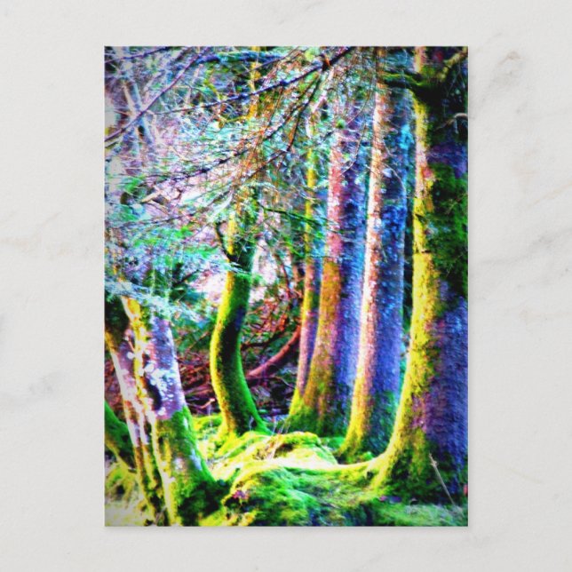 Postal artística encantada con abstracto forestal (Anverso)