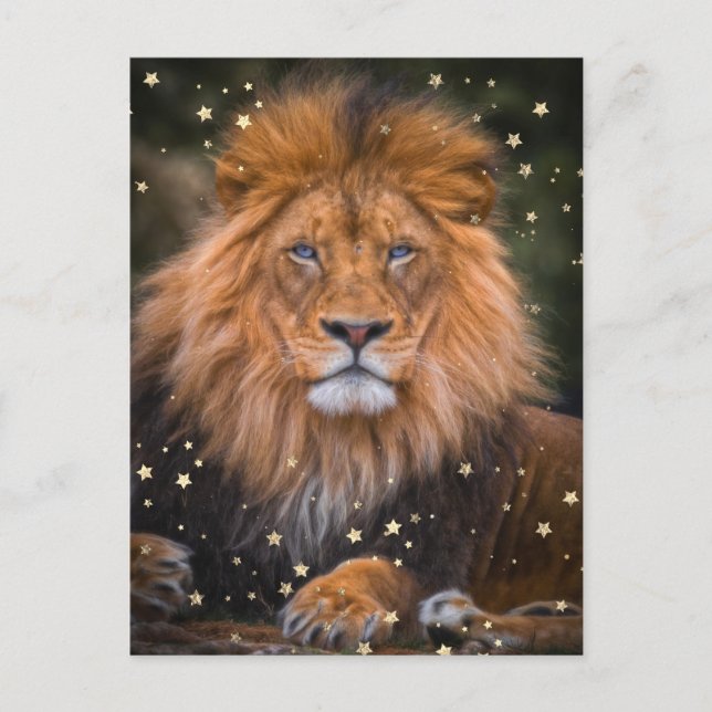Postal *~* Artsy AP23 LION artística celeste SOFT Brown (Anverso)