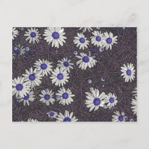 Postal Artsy Daisies