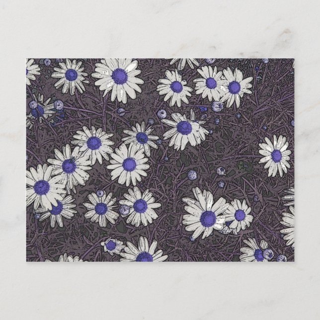 Postal Artsy Daisies (Anverso)