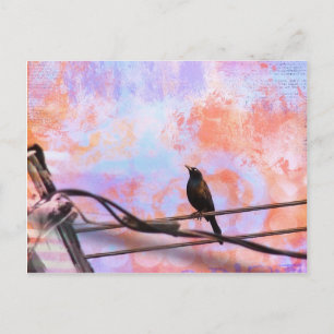 Postal Artsy Grackle