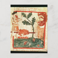 Arturo resuelve la asación gigante un cerdo en a