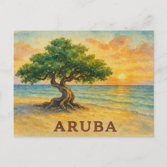 Postal Aruba Playa Eagle Divi Tree Hora Dorada (Anverso)