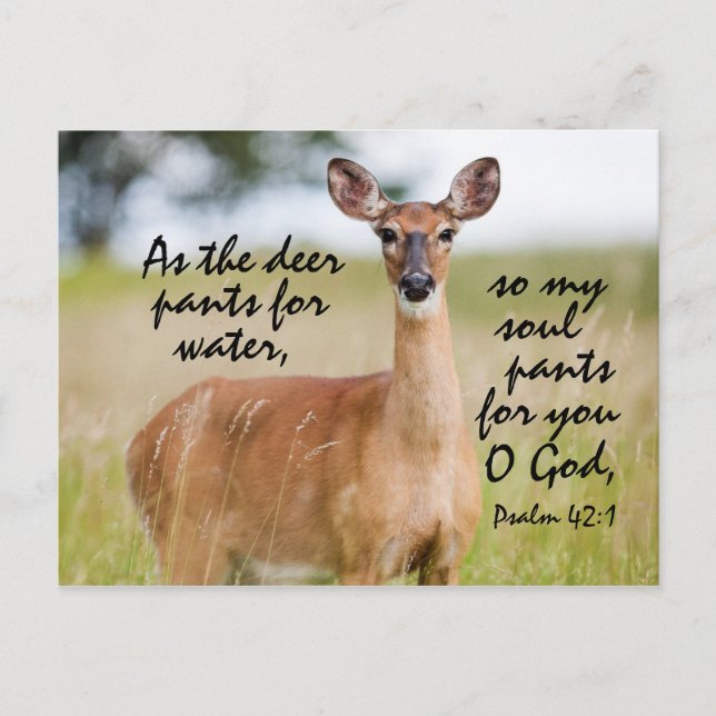 Postal As the deer pants for water, Bible Psalm 42 Custom (Anverso)