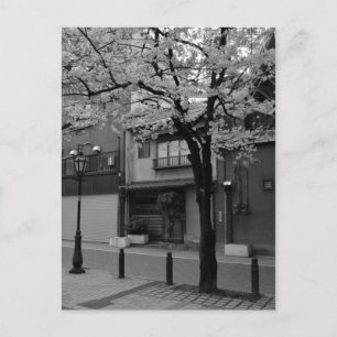 Postal Asakusa en primavera: Tokio, Japón