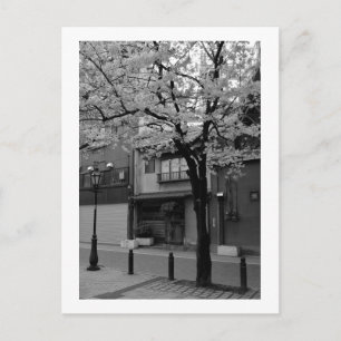 Postal Asakusa en primavera: Tokio, Japón