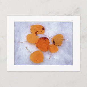 Postal "Ascensores de nieve"