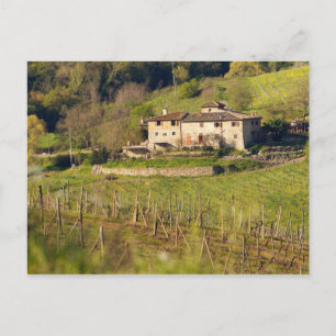 Postal Aschuito, una granja en funcionamiento que acepta 