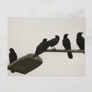 Postal Asesinato a la luz de las calles