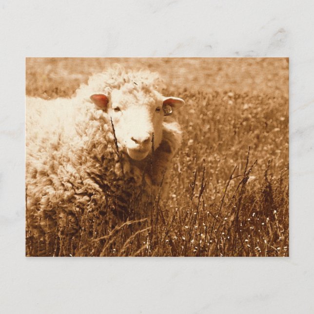 Postal Ashley en Sepia (Anverso)