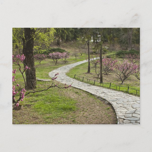 Postal Asia, China, Beijing. La primavera florece (Anverso)