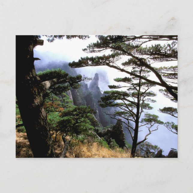 Postal Asia, China, Huanshan. El monte amarillo (Anverso)