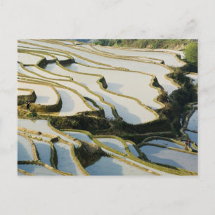 Postal Asia, China, provincia de Yunnan, condado de Yuany