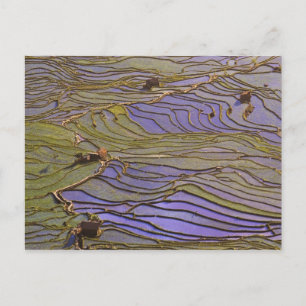 Postal Asia, China, provincia de Yunnan, Yuanyang. Inunda