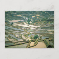 Asia, China. Terrazas de arroz inundadas cerca de 