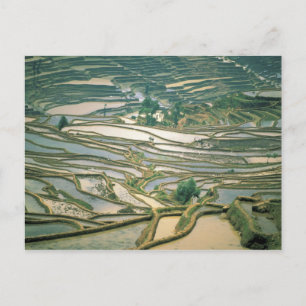 Postal Asia, China. Terrazas de arroz inundadas cerca de