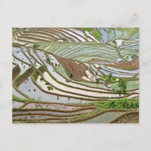 Postal Asia, China, Yunnan, Jinping. Gente autóctona Yi