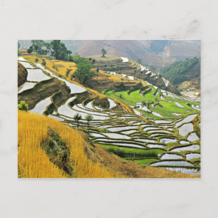 Postal Asia, China, Yunnan, prefectura de Yuxi; Yuanjiang