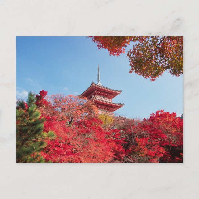 Postal Asia, Japón, Kioto. Color de otoño (Anverso)