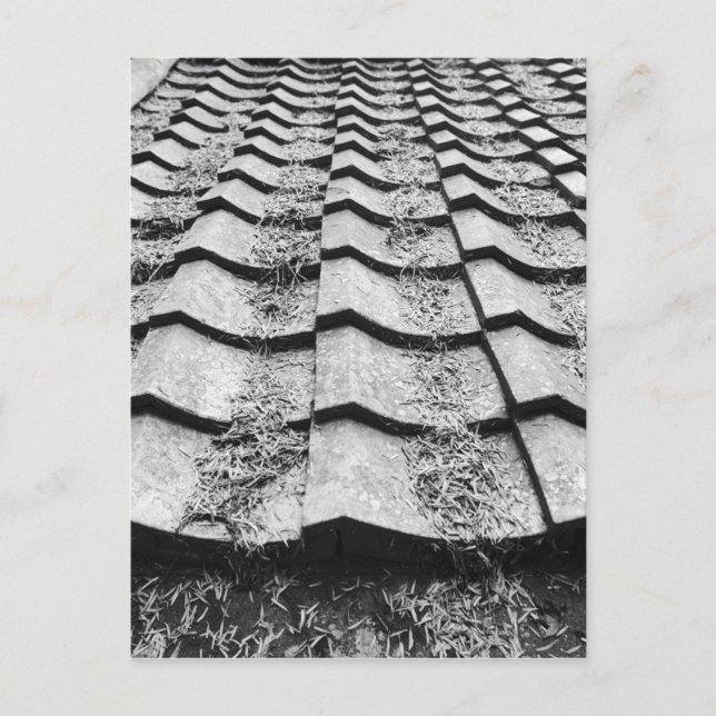 Postal Asia, Japón, Miyajima. Detalle de techo de arcilla (Anverso)