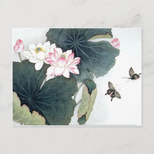 Postal Asia Lotus Leaf Pink Flower Butfly Art Guay