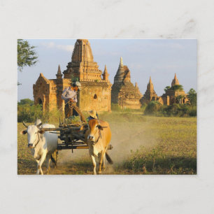 Postal Asia, Myanmar (Birmania), Bagan (Pagan). Un carro 