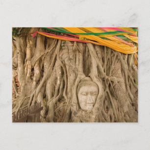 Postal Asia, Tailandia, Siam, Buda en surcos de árbol en