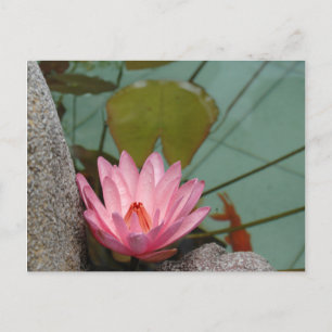 Postal Asia, Vietnam. Nenúfar en un estanque de un templo