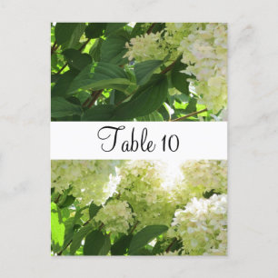 Postal Asientos de mesa con Hortensias Blancas